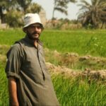 الفلاح المصري